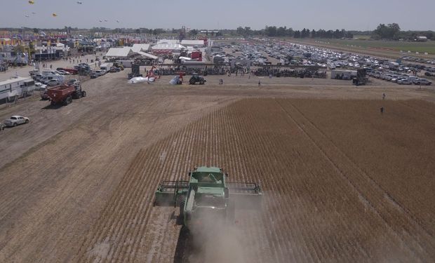 De la venta de granos a la compra de insumos, el productor pierde un 7,1 % del valor de la cosecha