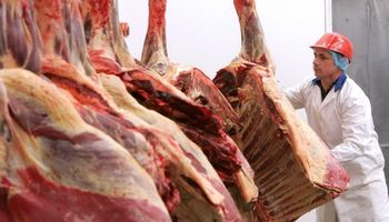 Prevén precios altos para la carne vacuna en 2016