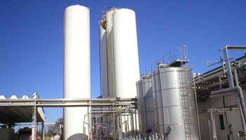 Se derrumba el precio de exportación de la leche en polvo argentina