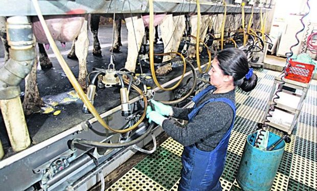 Tamberos uruguayos ya cobran casi 0,32 u$s/litro.