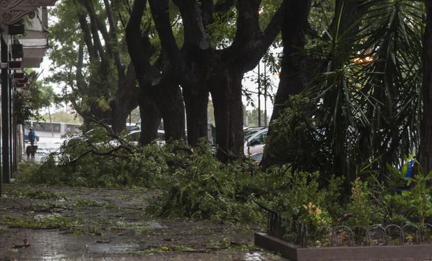 Foto:LA NACION/Marcelo Manera