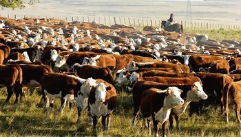Novillo Mercosur subió 3 centavos