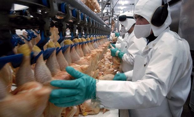 El argentino promedio consumirá 42,3 kilos de carne aviar este año, la mejor marca, al menos, desde 2007.