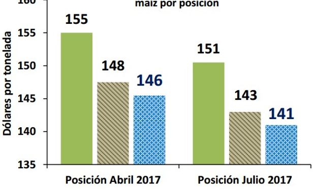 Maíz: la caída en el precio del cereal alteró la ecuación económica y restó fuerza a la intención de siembra.