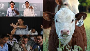 Los precios "impensados" que alcanza la ganadería argentina: "Está más a tono de lo que pasa en la región y en el mundo, ojalá que eso se traduzca en más inversión en el campo"