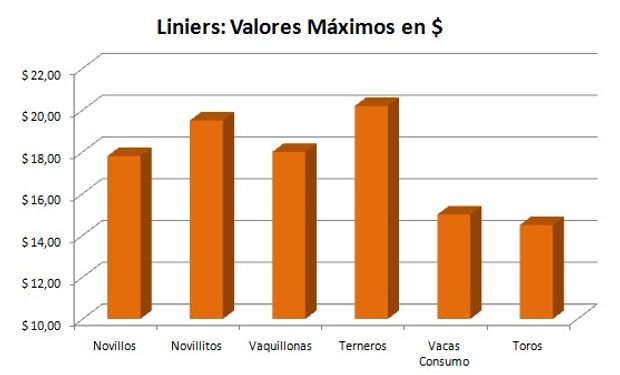 Mes de Noviembre 2014