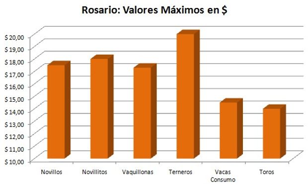 Mes de Noviembre 2014