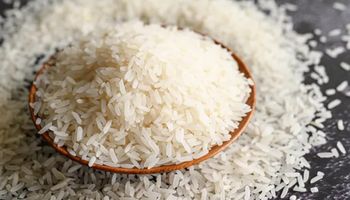 Leilões da Conab fazem preço do arroz reagir, aponta Cepea