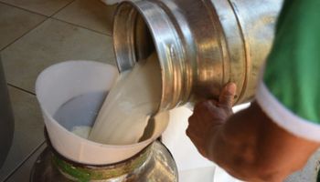 Preço do leite ao produtor sobe mais de 5% em fevereiro
