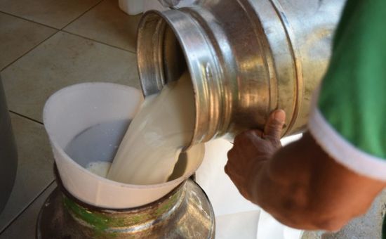 Menor oferta e maior competição entre laticínios elevam preços ao produtor