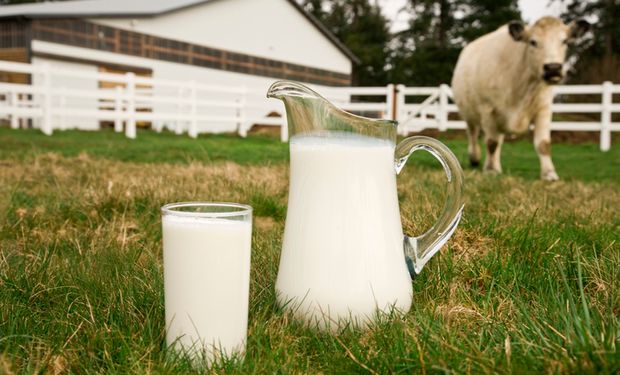 Preço do leite pago aos produtores tem alta de 20,6% em 2022