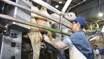 Preço ao produtor agropecuário cai quase 10% no 1º trimestre, aponta Cepea