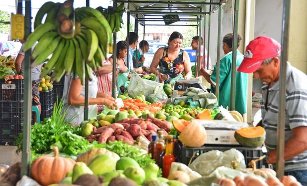 Quais frutas e verduras ficaram mais baratas?