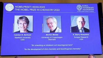 La química “clic” ganó el Premio Nobel: qué significa y quién son los ganadores