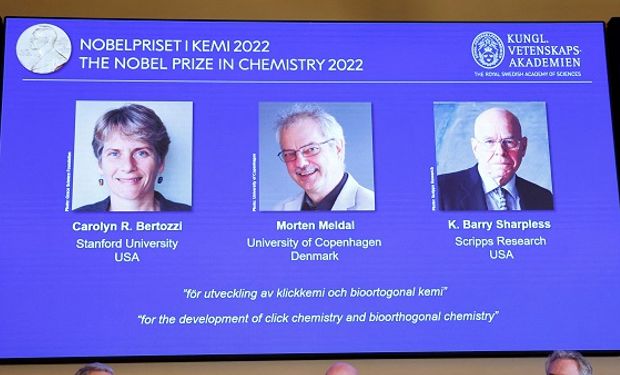 La química “clic” ganó el Premio Nobel: qué significa y quién son los ganadores