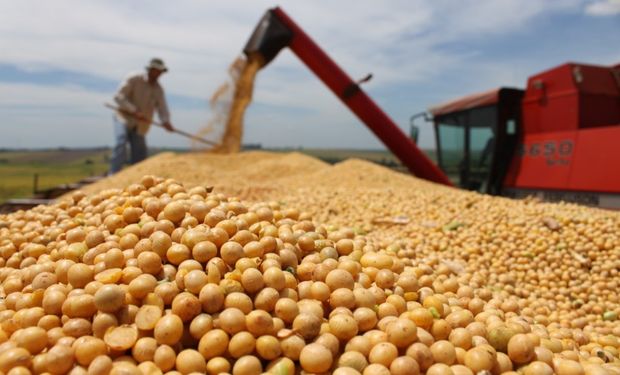 Las grandes fábricas oleaginosas elaboradoras de pellets, aceite y biodiesel necesitan originar mercadería de manera constante para abastecer uno de los principales complejos agroindustriales a nivel mundial.