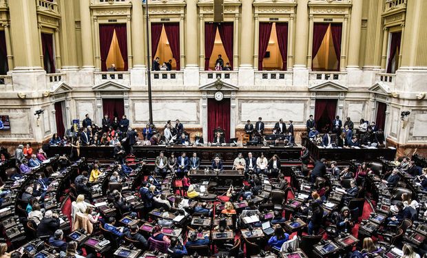 La Cámara de Diputados comienza a tratar la ley ómnibus: los puntos que afecta al agro