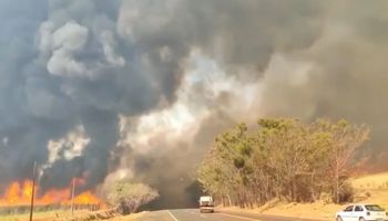 Homem que ateou fogo em canavial é o décimo preso por incêndios em SP
