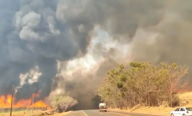 Homem que ateou fogo em canavial é o décimo preso por incêndios em SP