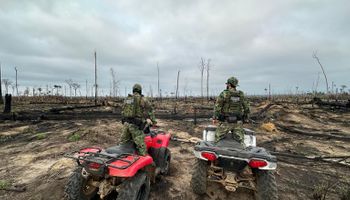 Polícia Federal prende três por incêndios criminosos nas regiões Norte e Centro-Oeste