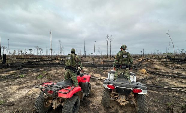 Polícia Federal prende três por incêndios criminosos nas regiões Norte e Centro-Oeste