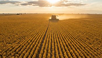 Puxada pelo agro, prévia do PIB indica que economia cresceu 2,5% em 2025