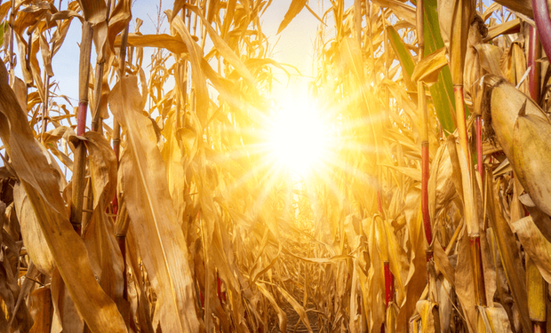 Quinta-feira contrasta sol no Sul com chuvas fortes e risco de temporais no Brasil