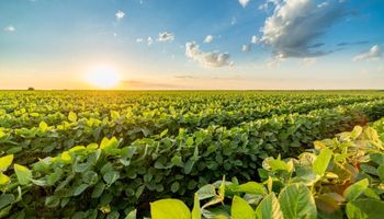 O tempo muda no Brasil neste fim de semana; veja o que esperar