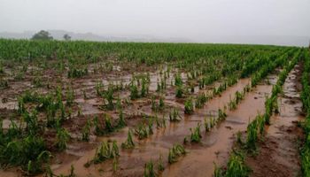 Veja onde a chuva forte deve atingir o Brasil nesta sexta-feira