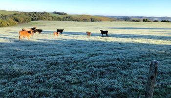 Previsão do tempo: Inmet alerta para chuvas intensas e temperaturas perto de 0°C