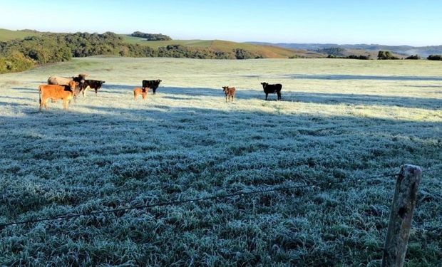As temperaturas podem chegar a 0°C nas áreas serranas entre Rio Grande do Sul e Santa Catarina.  Foto: Roger Terra de Moraes