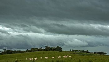 Calor extremo, ventos de 70 km/h e temporais: veja a previsão para esta quarta-feira