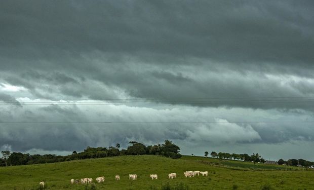 Calor extremo, ventos de 70 km/h e temporais: veja a previsão para esta quarta-feira
