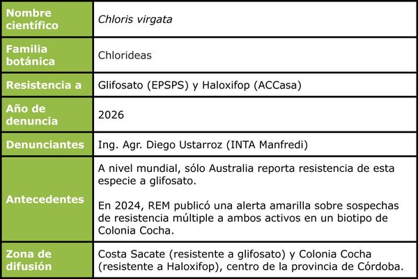 campo