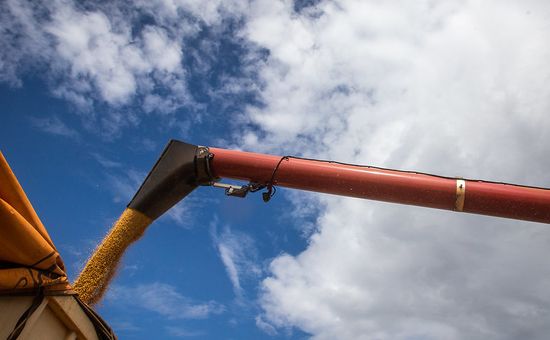 La Bolsa de Comercio de Rosario informó la recepción de la primera partida de la nueva campaña, tras la intervención de la Cámara Arbitral de Cereales, que determinó que la mercadería resultó “de recibo”