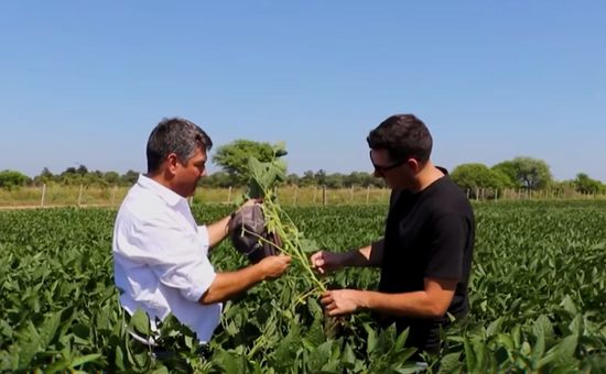 "Genera es la admiración de la garra que tiene el productor argentino”, destacó uno de ingenieros detrás del primer lote de soja de la campaña