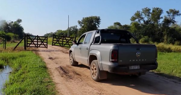 amarok entrando al campo