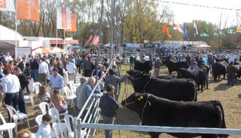 En La Nación Ganadera, el PRO presentó sus propuestas para el campo