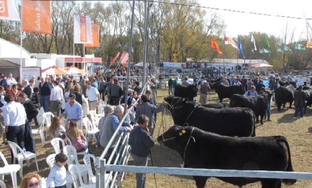 En La Nación Ganadera, el PRO presentó sus propuestas para el campo