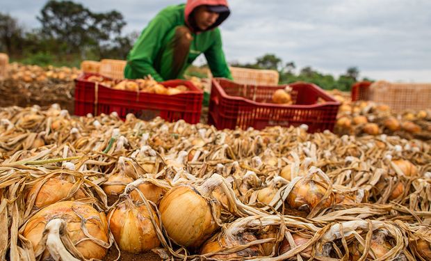 Governo alega uso indevido e sinaliza mudanças no seguro rural