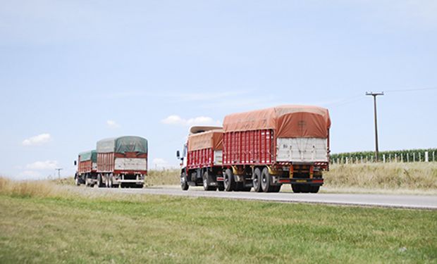 Problemas logísticos jaquean al productor maicero