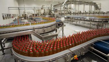 Indústria de óleo vegetal eleva 4,1% a capacidade instalada em 2022