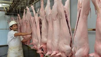 Clausuran frigoríficos porcinos por no cumplir la normativa vigente