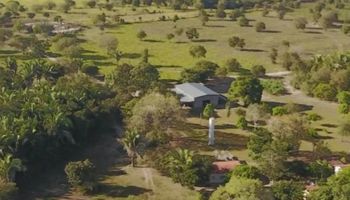 Procura por imóveis rurais dispara em dezembro e busca por fazendas cresce 38%