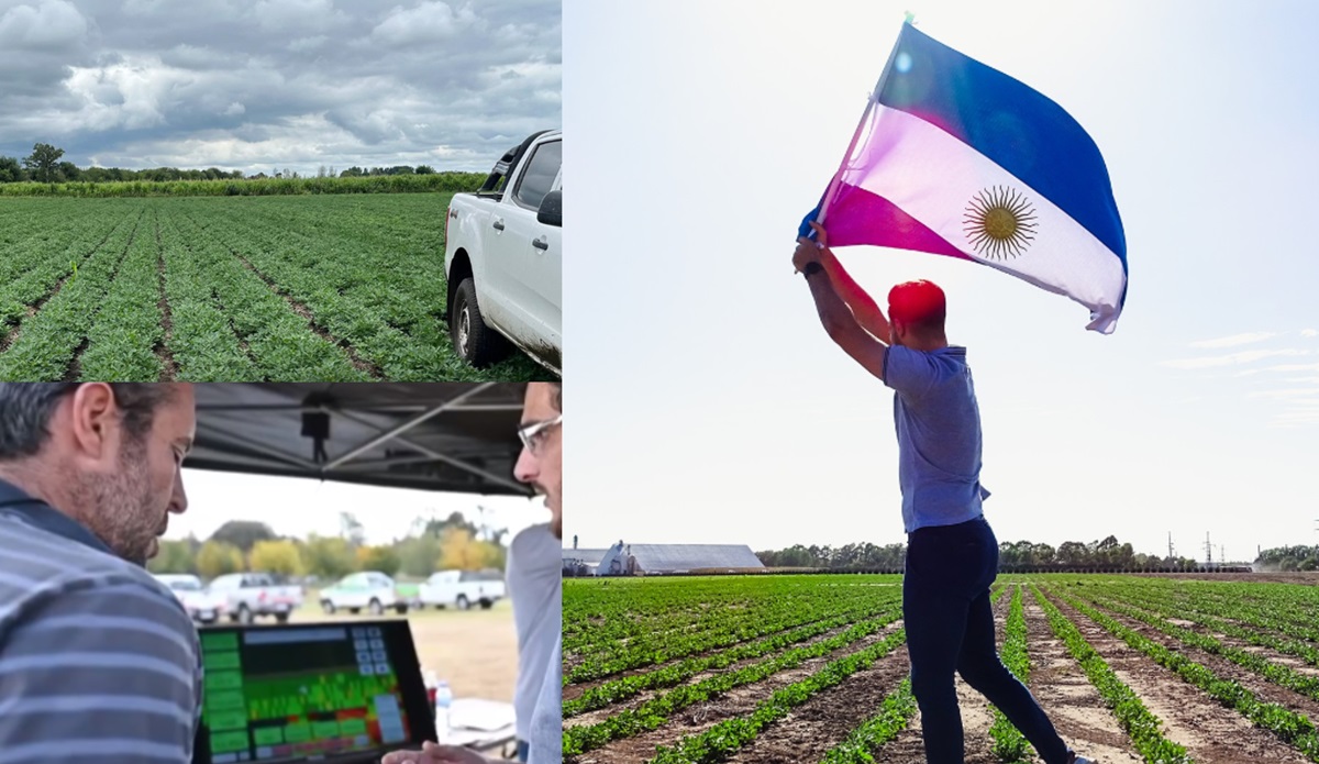 noticiaspuertosantacruz.com.ar - Imagen extraida de: https://news.agrofy.com.ar/noticia/211351/como-se-produce-campo-modelo-argentina-que-se-sumo-selecta-lista-mundial-tiene-318