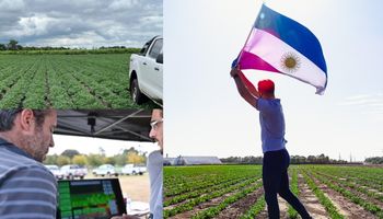 Cómo se produce en el campo modelo de la Argentina que se sumó a una selecta lista mundial: tiene 318 hectáreas y es una muestra al futuro (y presente) de la agricultura