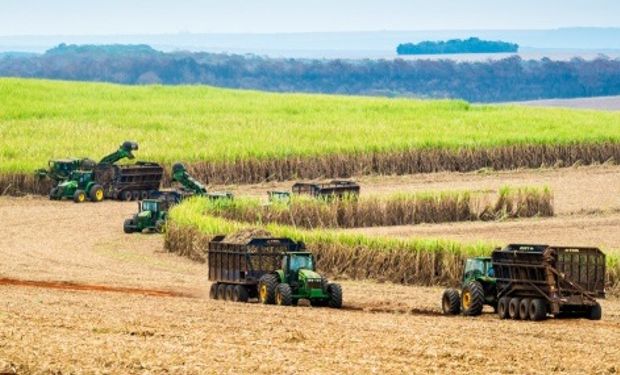 Brasil processa 13,6% menos cana-de-açúcar na safra 21/22