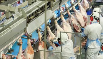 Aumento na produção de carnes garante abastecimento interno e exportações, diz Conab