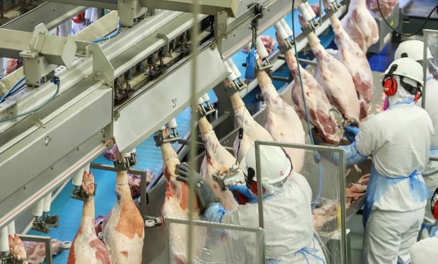 Aumento na produção de carnes garante abastecimento interno e exportações, diz Conab