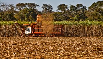 Moagem de cana em 2022/2023 atinge 531 milhões de tons e supera ciclo passado